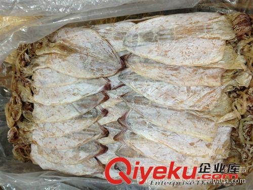供應北海魷魚 燒烤專用 新鮮 酒店{za} 送禮佳品 推薦 一級魷魚原始圖片2