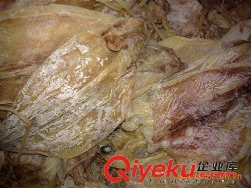 供應北海魷魚 燒烤專用 新鮮 酒店{za} 送禮佳品 推薦 一級魷魚原始圖片3