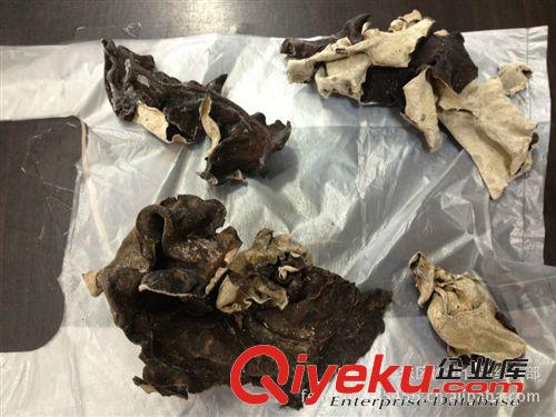 供應 廠家直銷  暢銷  貨源充足  價格實在 快餐用  木耳原始圖片3