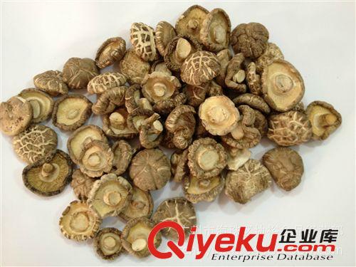 供應 慶元產地直銷  2013新香菇上市 推薦  人人喜歡 小花菇