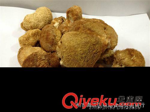 供應質量好  冬天暢銷  煲湯好幫手  產地直銷 特產 猴頭菇原始圖片3