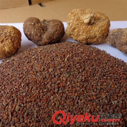 長期供應(yīng)原產(chǎn)地秘魯進口馬卡種子瑪卡籽送種植技術(shù)現(xiàn)貨熱銷聚劃算原始圖片2