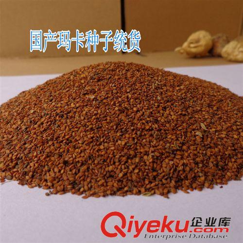 批發供應云南優質瑪咖種子瑪卡籽馬卡正品送技術全國聯保超值劃算原始圖片2