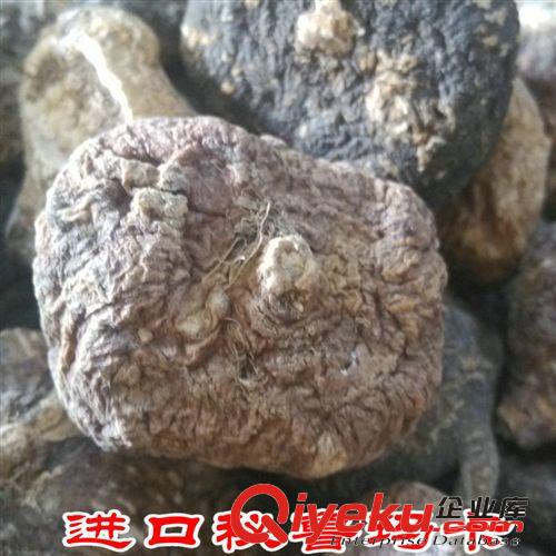 長期批發(fā)zp進(jìn)口秘魯瑪卡干果瑪咖片馬卡粉MACA量大從優(yōu)超值熱賣