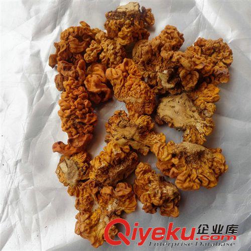 長期批發供應云南野生菌黃木耳 金耳腦耳低價促銷原始圖片3