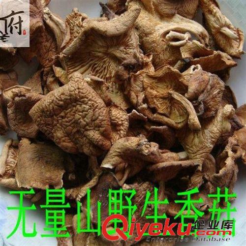 長期批發供應云南野生菌黃木耳 金耳腦耳低價促銷