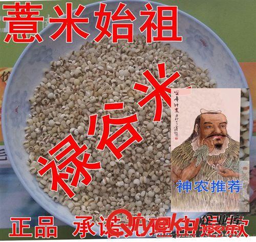 云南優質薏米 有機金薏米 版納野生紅薏仁五谷雜糧