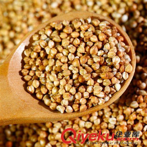 常年批發(fā)供應(yīng)云南特色苦蕎米五谷雜糧營養(yǎng)保健超值熱賣zp有保障原始圖片3