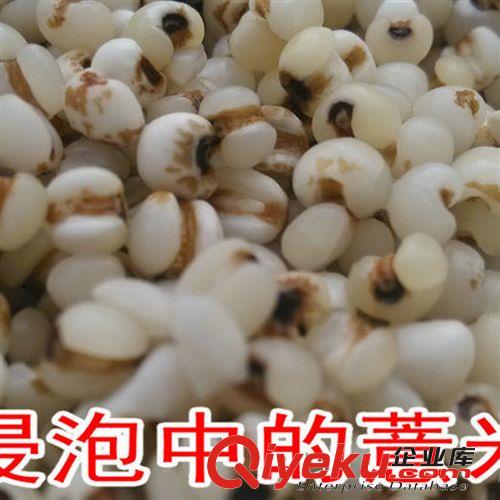 云南墨江紫米 接骨米 真空 養顏bx米 孕婦食品 月子米