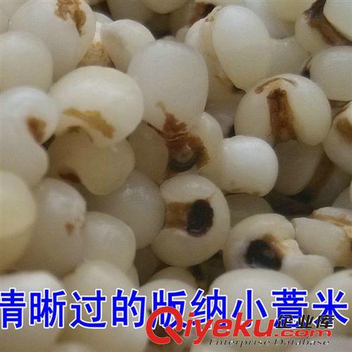 云南土特產特級 金薏米 版納野生特小紅薏仁優質薏仁米促銷原始圖片3