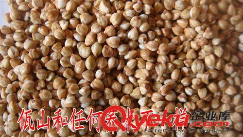 長期批發(fā)供應云南特色苦蕎米西盟米蕎五谷雜糧營養(yǎng)保健zp超劃算原始圖片3