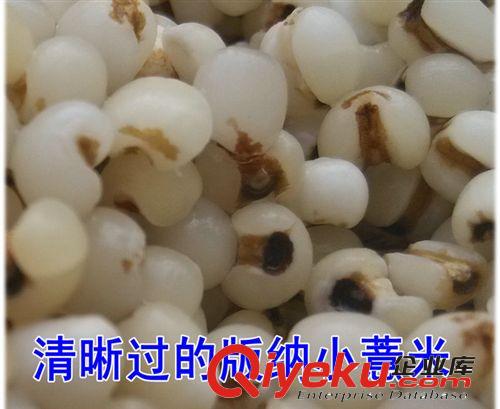 长期批发供应云南禄谷小米薏仁米神农推荐超值特惠现货正品聚划算原始图片2