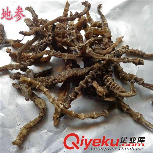 批發供應云南地參雪參地龍菜蟲草參干品蔬菜原始圖片2