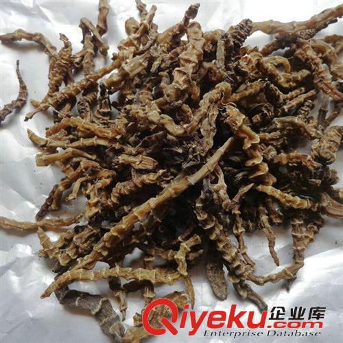 批發供應云南地參雪參地龍菜蟲草參干品蔬菜原始圖片3