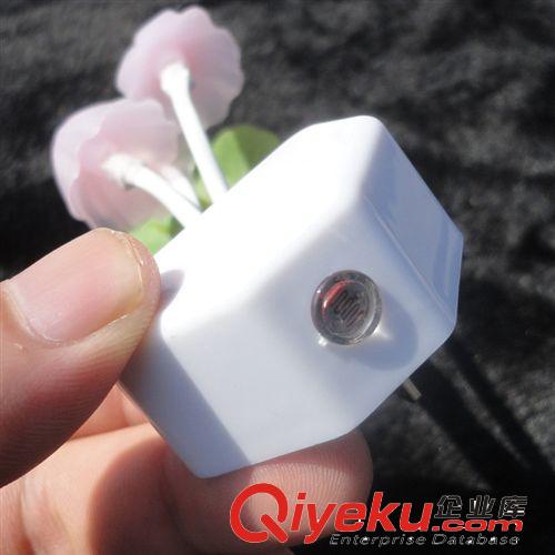 情人節禮物LED光控感應七彩蘑菇小夜燈節能臥室床頭燈男女新年禮原始圖片3