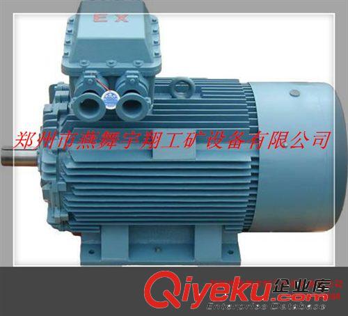 YB2系列隔爆型三相異步電機原始圖片2