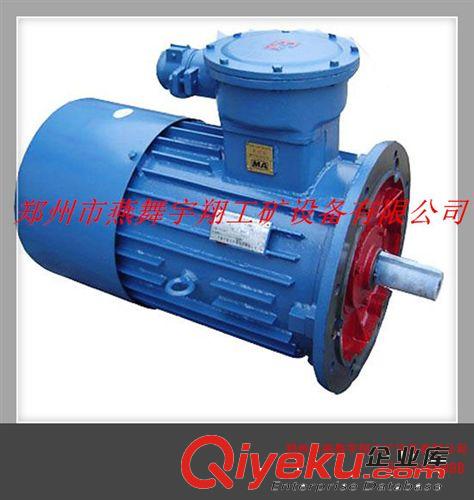 DSB系列隔爆型三相異步電機(jī)原始圖片2