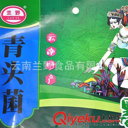 云南特產(chǎn)名貴山珍蘭野廠家直銷大量批發(fā)