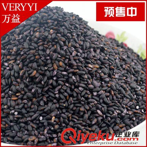 墨江哈尼農(nóng)戶2013年新米tj批發(fā) zz墨江紫米