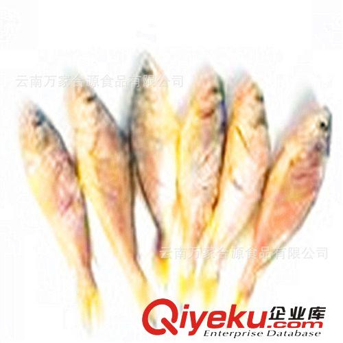 【特卖会】【干黄鱼】【万家合源牌】品质上乘，美味！