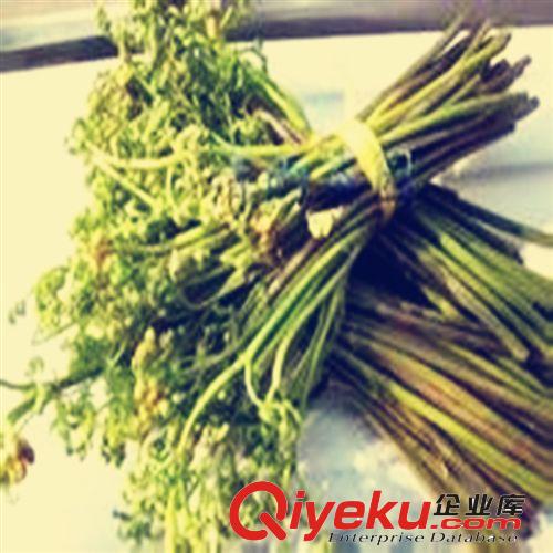 【特賣會(huì)】【魚片】【萬家合源牌】品質(zhì)上乘，美味可口！