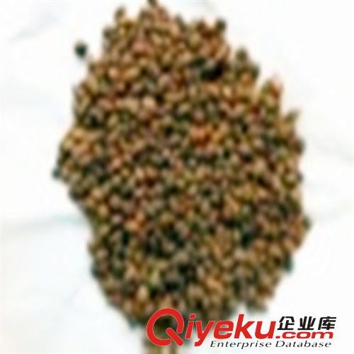 【特賣會(huì)】【沙司】【萬(wàn)家合源食品】品質(zhì)上乘！