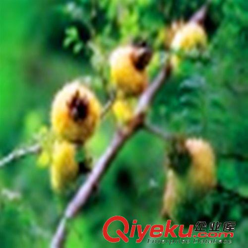 【特賣會】【刺梨】【萬家合源牌】品質(zhì)上乘，美味可口！原始圖片3