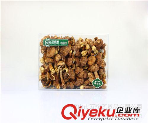 香格里拉松茸经销批发 “菌中精品”姬松茸 批发野生菌