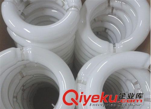 【廠家直銷】40W-300W低頻無極燈光源 環形燈管 工廠燈