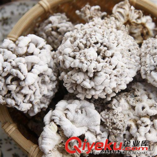 批發(fā)云南特產(chǎn)食用野生菌雪蓮菌干貨原始圖片2