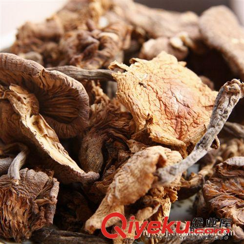 批發(fā)食用菌 美味臻菇 干貨香菇 臻蘑菌 臻蘑批發(fā) 臻蘑菌批發(fā)原始圖片2