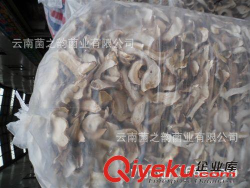 牛肝菌/優(yōu)質(zhì)野生菌/美味牛肝菌水洗統(tǒng)貨原始圖片3