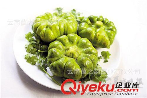 云南野蔬菜-新鮮姜米瓜  云南特有產(chǎn)品