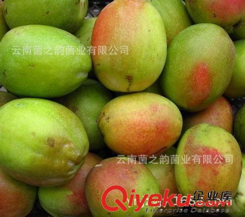 新鮮青檸檬 生鮮水果公司 云南水果 新鮮水果批發檸檬果 新鮮批發