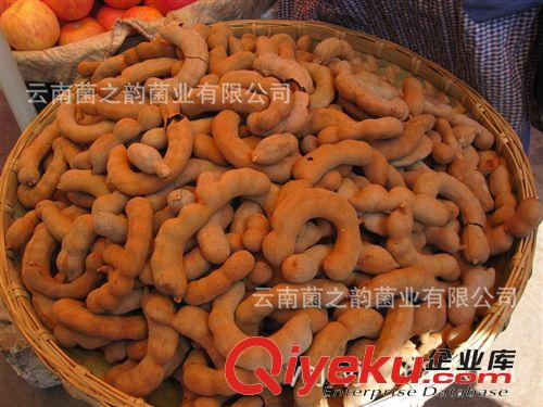 云南特产  新鲜甜酸角孕妇补钙食品 旅游休闲食品