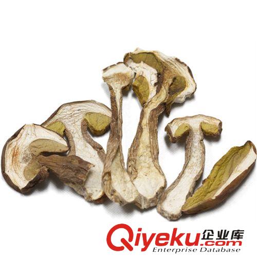 產地直批 云南野生菌 鮮黃賴頭 鮮黃賴頭牛肝菌 tj批發量大從優