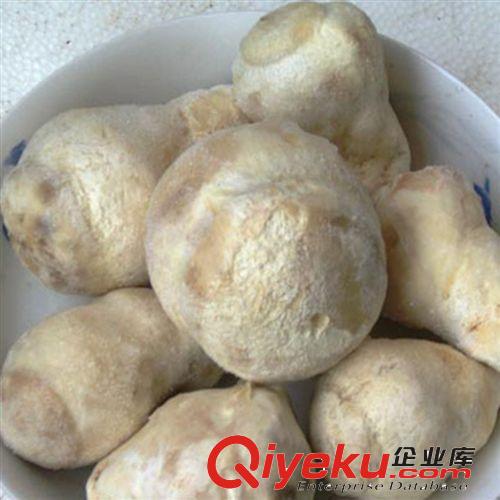 滇彩專營 供應(yīng)批發(fā)野生速凍老人頭菌 云南野生菌 老人頭菌原始圖片3
