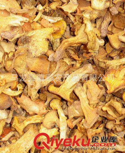 產地批發 紅乳牛肝菌干貨 野生菌 野生乳牛肝 牛肝菌