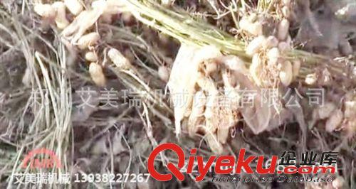 供應小型花生摘果機 摘花生機械 花生摘果脫殼等多種花生機械