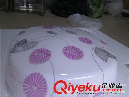 大量批發(fā)新款LED吸頂燈6864.清爽優(yōu)雅美觀大方
