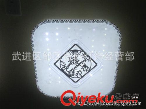 大量批發(fā)新款162-1LED雙色.高貴優(yōu)雅.時尚大氣原始圖片3