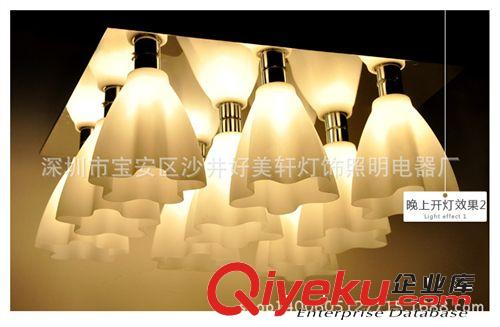 現(xiàn)代簡(jiǎn)約客廳吊燈吸頂燈led燈具過(guò)道燈臥室吸頂燈書(shū)房吊燈原始圖片2