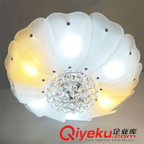 現(xiàn)代簡(jiǎn)約水晶花燈客廳吊燈臥室吸頂燈兒童房吊燈LED吸頂燈