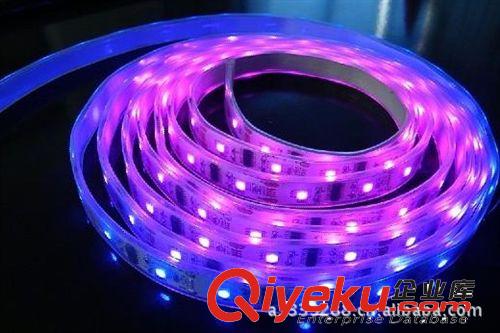 深圳廠家SMD5050LED 真幻彩軟燈帶 全彩IC燈條 LED跑馬燈 30燈/米原始圖片3