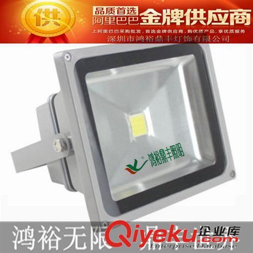 鴻裕鼎豐 led泛光燈30W 投光燈廣場泛光燈戶外景觀投射燈燈招牌燈