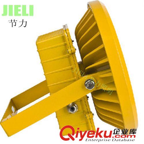 廠家直銷LED防爆投光燈20W30w50w70w80w100W LED工廠加油站防爆燈原始圖片2