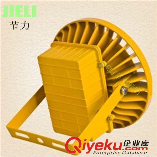 廠家直銷LED防爆投光燈20W30w50w70w80w100W LED工廠加油站防爆燈原始圖片3