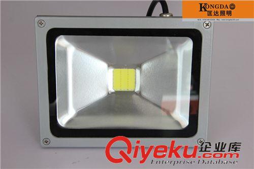 LED投光燈 泛光燈 招牌燈 非標(biāo)20W 白光 50% 0.5W 一體化外殼原始圖片3