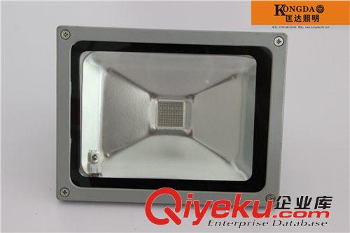 LED 七彩樹燈  RGB投光燈 泛光燈 廣告燈 20W帶遙控原始圖片2