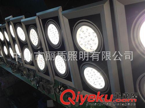 24WLED豆膽燈 格柵射燈 雙頭斗膽燈 LED環(huán)保節(jié)能工程裝潢射燈